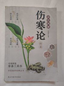 彩图解伤寒论精要（中医临床经典）
