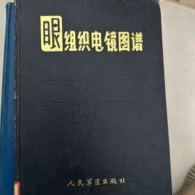 眼组织电镜图谱