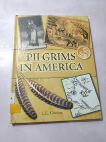 Pilgrims in America