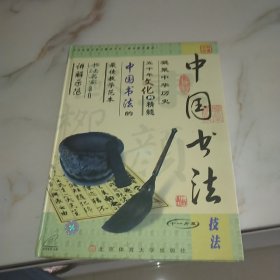 中国书法技法光盘CD*11
