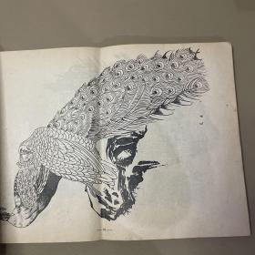 鸟谱  【中央工艺美术学院图案训练班1960年 8开本】