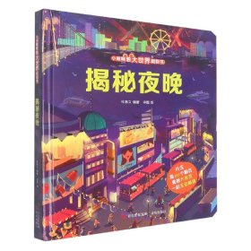 揭秘夜晚（小眼睛看大世界翻翻书）