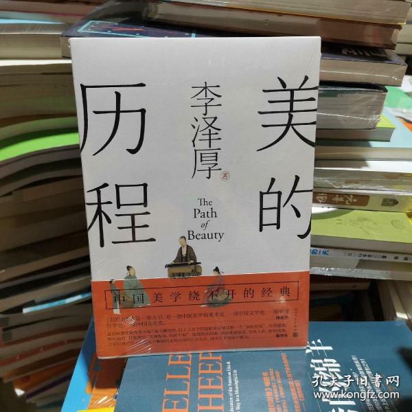 美的历程（李泽厚毕生扛鼎之作 中国美学史绕不开的经典）