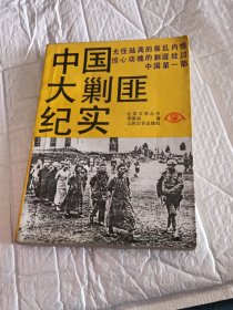 中国大剿匪纪实