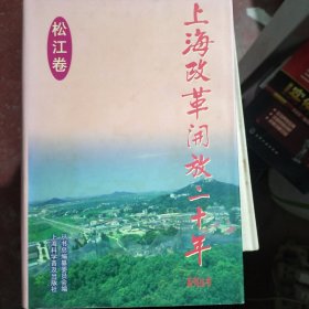 上海改革开放二十年:系列丛书.松江卷