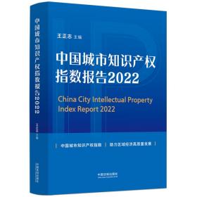 中国城市知识产权指数报告（2022）