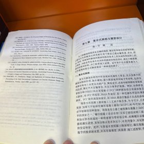 高等水泥混凝土路面设计理论与方法