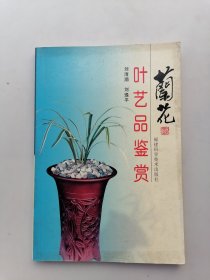 兰花叶艺品鉴赏