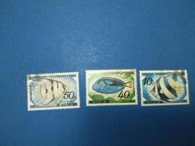 朝鲜热带鱼邮票