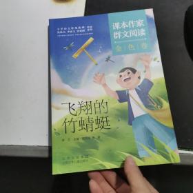 课本作家群文阅读 金色卷 飞翔竹蜻蜓