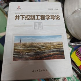 井下控制工程学导论