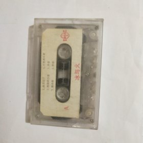 磁带 冰与火（ 张蝶）