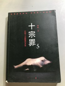 十宗罪5：中国十大凶杀案