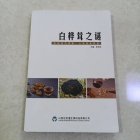 白桦茸之谜