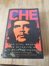 Che:TheLife,Death,andAfterlifeofaRevolutionary