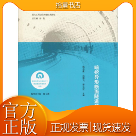 暗挖异形断面隧道技术