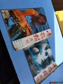 诗歌报月刊 1990年一期二期合刊 十期十一期合刊