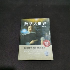 中国科普大奖图书典藏书系：数学大世界（典藏图书）