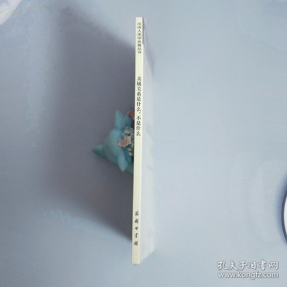 亲属关系是什么，不是什么(汉译人类学名著丛书)