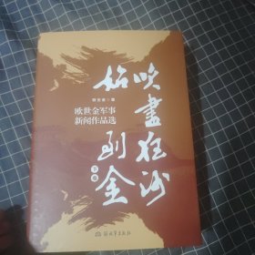 吹尽狂沙始到金（欧世金军事新闻作品选）