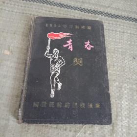 1955年劳动模范  青春