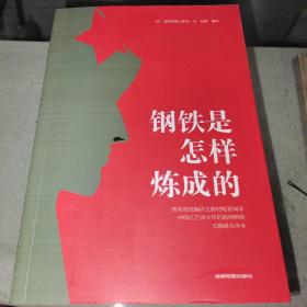 z《钢铁是怎样炼成的》