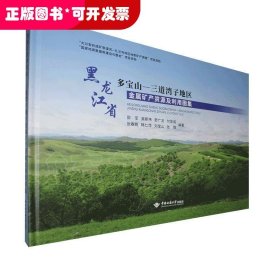黑龙江省多宝山-三道湾子地区金属矿产资源及利用图集