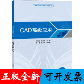 CAD高级应用
