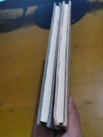 行道树：张晓风小语（上）+你真好，你就像我少年伊晨：张晓峰小语（下）