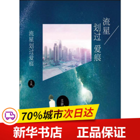 流星划过爱痕