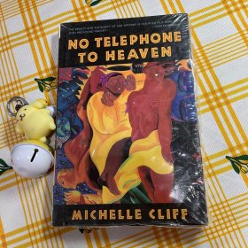 No Telephone to Heaven 《没有通往天堂的电话 》牙买加裔美国作家Michelle Cliff 英文版 一部关于殖民主义 种族主义 神话 政治觉醒的小说