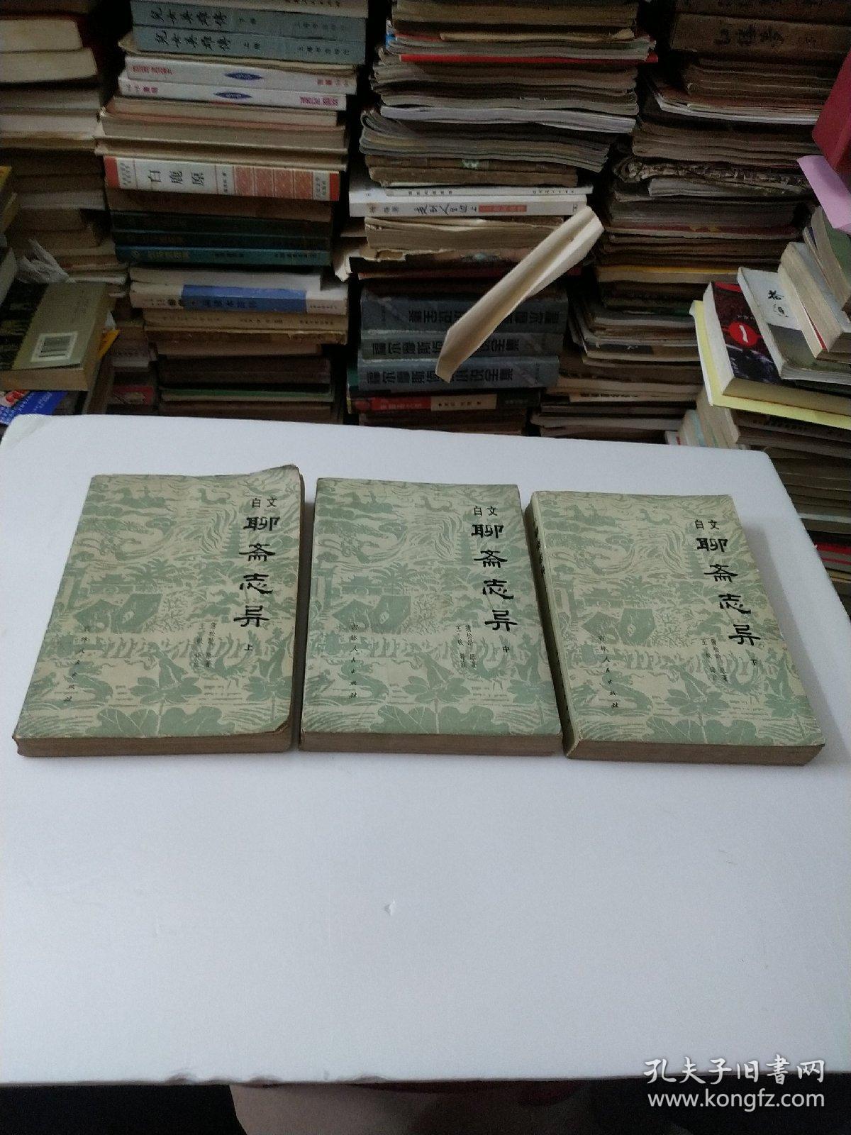 白文聊斋志异上中下册全
