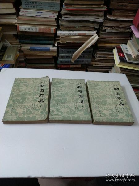 白文聊斋志异上中下册全