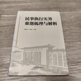 民事执行实务难题梳理与解析