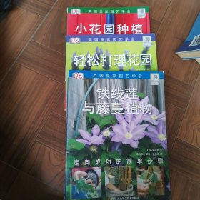 小花园种植：小花园种植+铁线藤与藤蔓植物