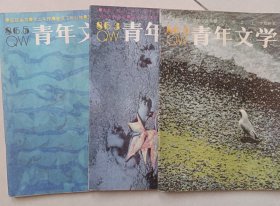 青年文学1986年3.4.5老牌文学杂志 众多名家早期作品 值得珍藏