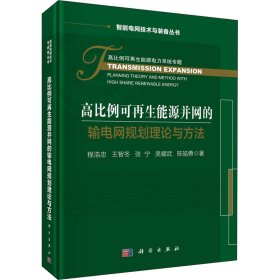 高比例可再生能源并网规划理论与方法精装