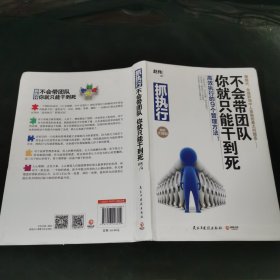 抓执行：不会带团队，你就只能干到死！（软精装升级版）