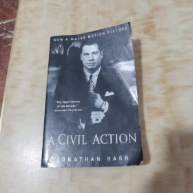 A Civil Action