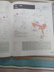 运动解剖学：体能训练全彩图解