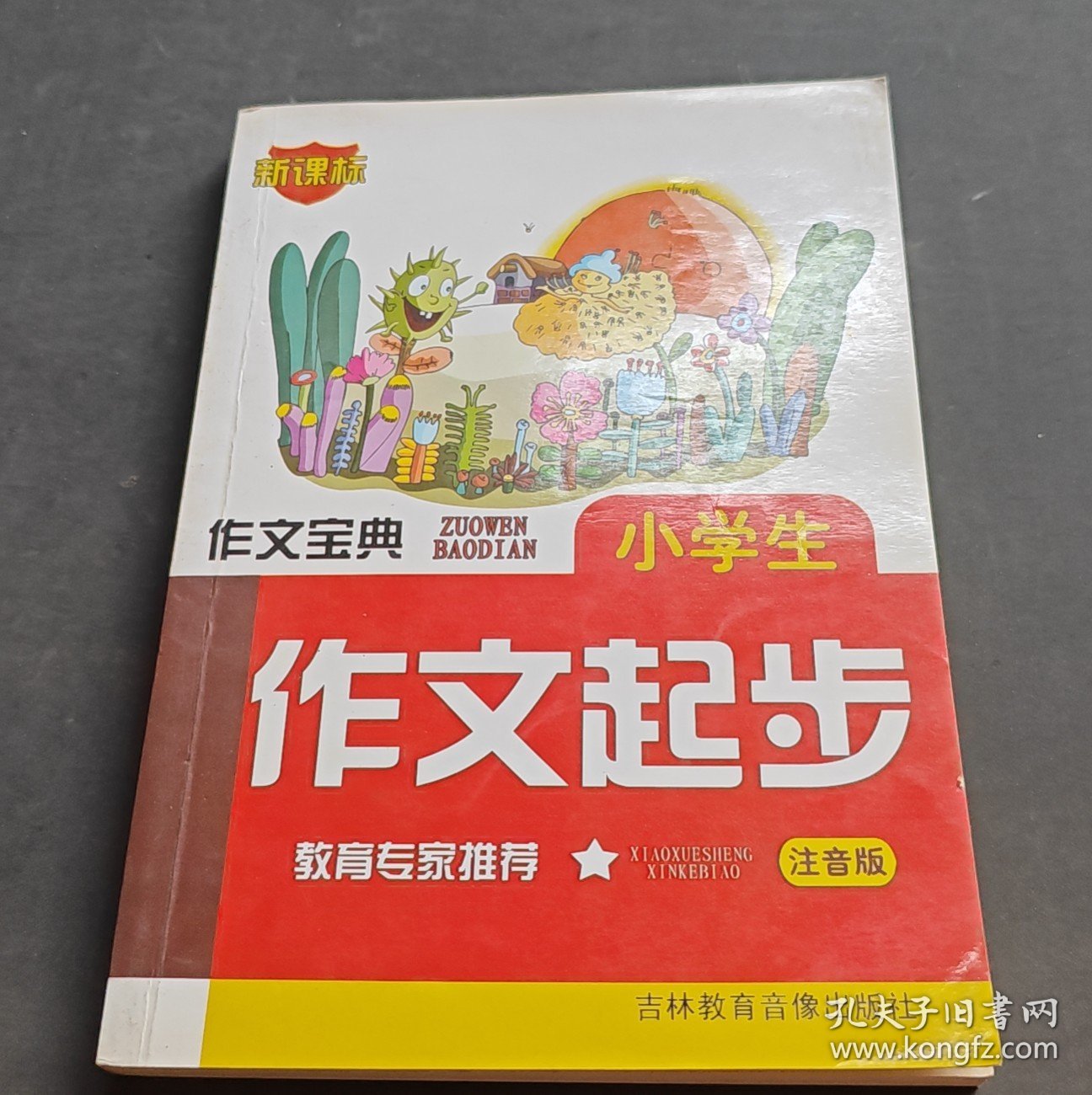 小学生注音优秀作文-作文宝典（注音版）