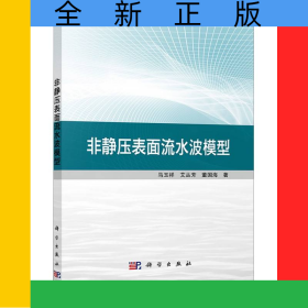 非静压表面流水波模型