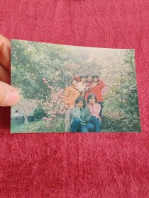 花儿美女老照片八十年代九十年代彩色相片像片