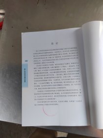 国土空间规划理论探索（正版\几页有点笔记\实物拍摄）
