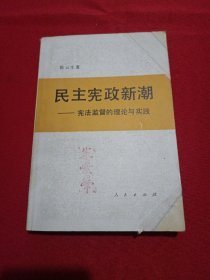 民主宪政新潮 宪法监督的理论与实践