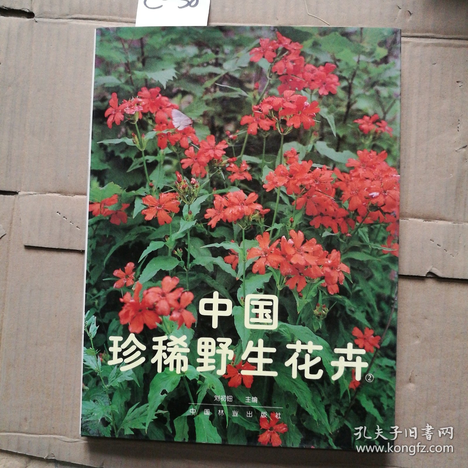 中国珍稀野生花卉2