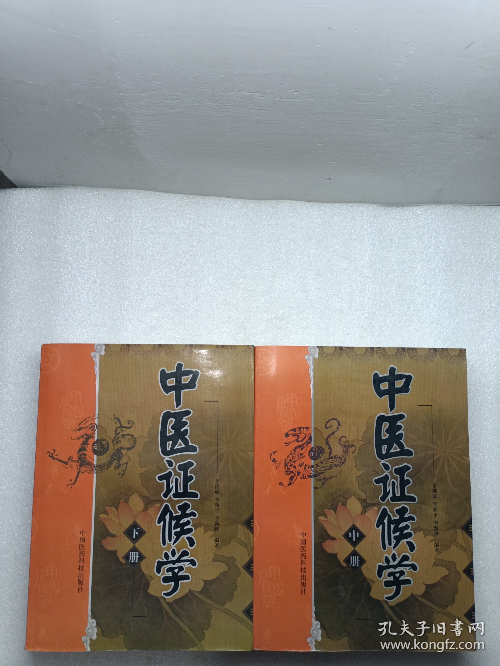 中医证候学（中下册）