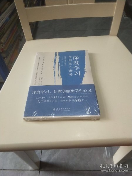 深度学习教学改进丛书 深度学习：走向核心素养（理论普及读本）