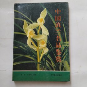 中国滇兰名品鉴赏