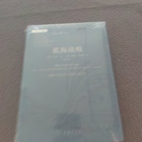蓝海战略